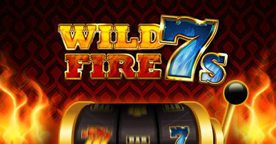 Play Space wild fire 7